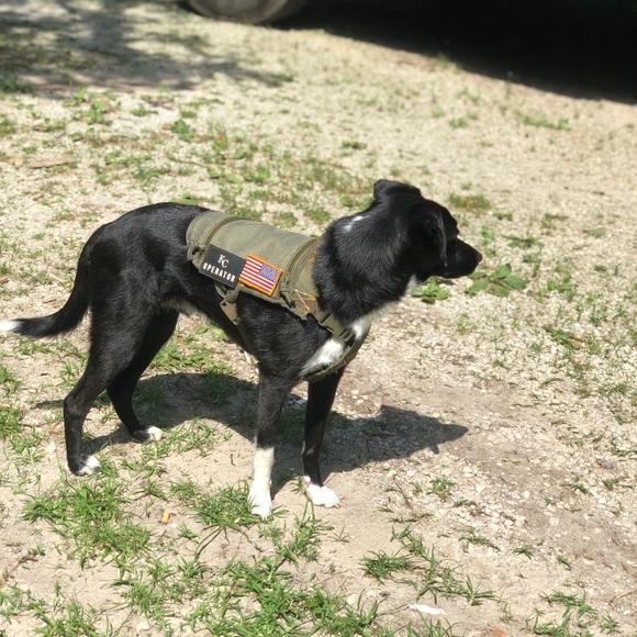 Tactical service dog vest - Picture 7 of 7